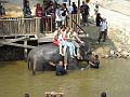 Maleisie (288)